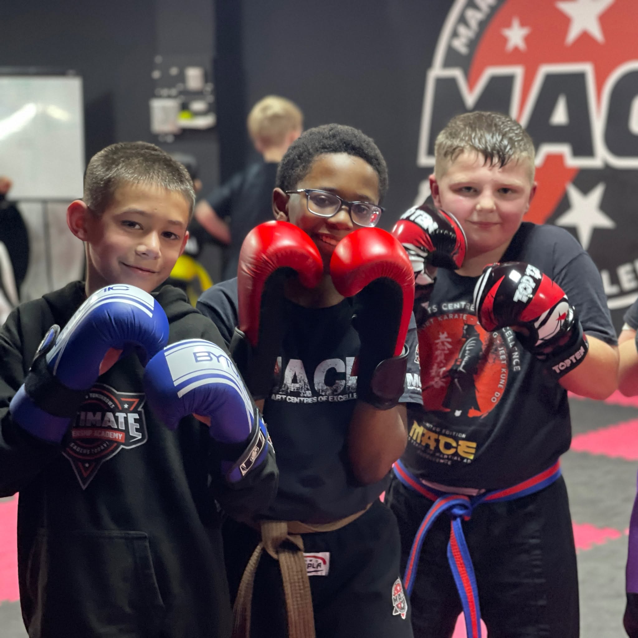 Cadets training at Martial Arts Centres of Excellence